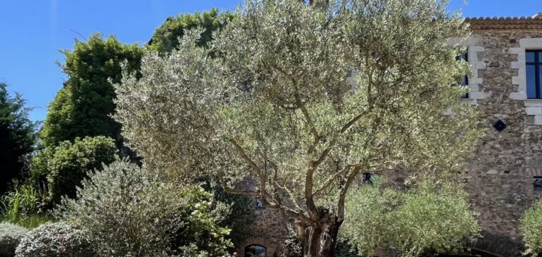 Lohnsteuer Entsendung Spanien